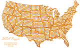 Wood USA Puzzle Map